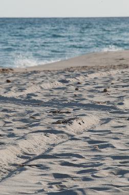 Ferienhaus in Capo blu (Pula) (Cagliari) oder Ferienwohnung oder Ferienhaus
