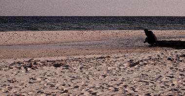 Ferienhaus in Capo blu (Pula) (Cagliari) oder Ferienwohnung oder Ferienhaus