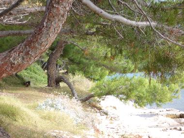 Ferienwohnung in Pula, Banjole (Istarska) oder Ferienwohnung oder Ferienhaus