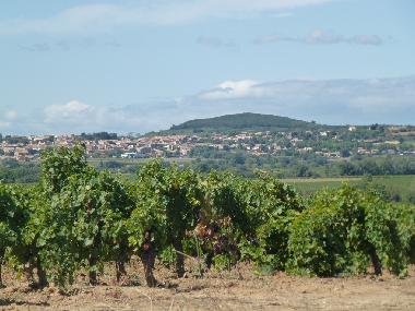 Ferienhaus in Caux (H�rault) oder Ferienwohnung oder Ferienhaus