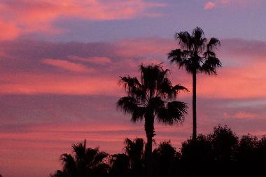 Pension in Golfe Juan (Alpes-Maritimes) oder Ferienwohnung oder Ferienhaus