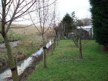 Ferienhaus in scharendijke (Zeeland) oder Ferienwohnung oder Ferienhaus