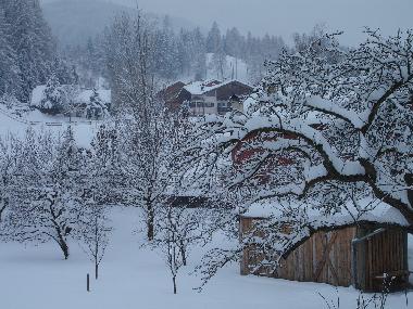 Ferienwohnung in Cavalese (Trento) oder Ferienwohnung oder Ferienhaus