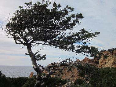 Ferienwohnung in Trinit d