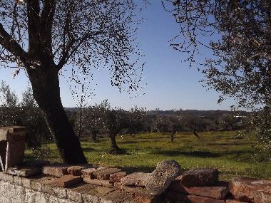 Ferienhaus in Amiera (Alto Alentejo) oder Ferienwohnung oder Ferienhaus