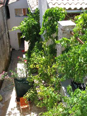 Ferienwohnung in Sinarades (Kerkyra) oder Ferienwohnung oder Ferienhaus