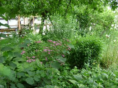 Pension in Horezu (Valcea) oder Ferienwohnung oder Ferienhaus