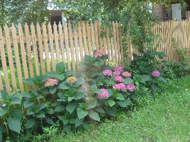 Pension in Horezu (Valcea) oder Ferienwohnung oder Ferienhaus