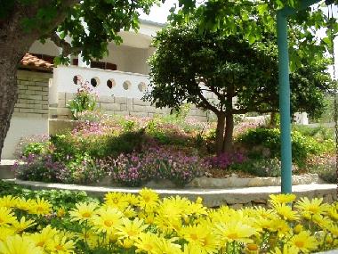 Ferienhaus in Rivanj (Zadarska) oder Ferienwohnung oder Ferienhaus