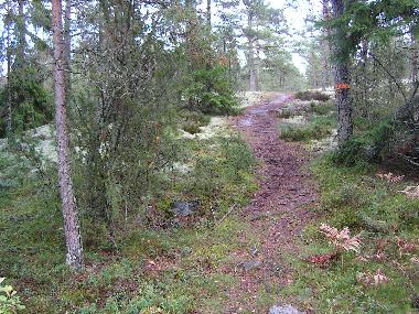 Ferienhaus in Valdemarsvik (�sterg�tland) oder Ferienwohnung oder Ferienhaus