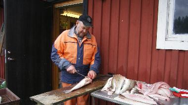 Ferienhaus in Valdemarsvik (�sterg�tland) oder Ferienwohnung oder Ferienhaus