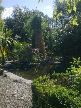 Ferienhaus in Aberdovey (Nord Wales) oder Ferienwohnung oder Ferienhaus