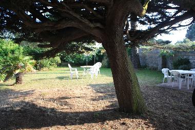 Garten - hinterer Teil