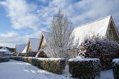 Ferienhaus in Groet (Noord-Holland) oder Ferienwohnung oder Ferienhaus