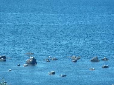 Villa in franquelin (Quebec) oder Ferienwohnung oder Ferienhaus