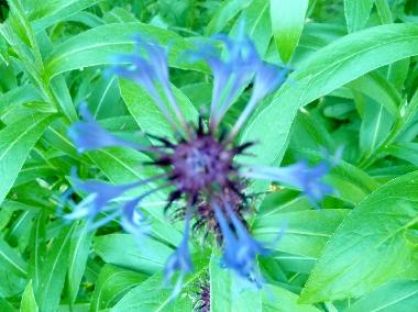 Villa in franquelin (Quebec) oder Ferienwohnung oder Ferienhaus