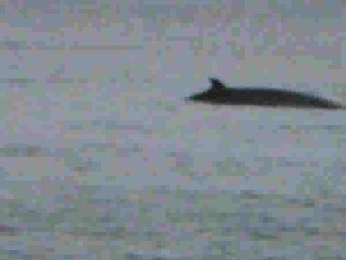 Villa in franquelin (Quebec) oder Ferienwohnung oder Ferienhaus