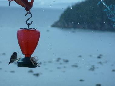 Villa in franquelin (Quebec) oder Ferienwohnung oder Ferienhaus