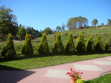 Ferienhaus in Rabka Zdrj (Malopolskie) oder Ferienwohnung oder Ferienhaus