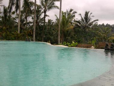 Villa in UBUD (Bali) oder Ferienwohnung oder Ferienhaus
