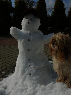 Ferienhaus in Rabka Zdrj (Malopolskie) oder Ferienwohnung oder Ferienhaus