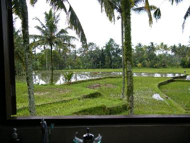 Villa in UBUD (Bali) oder Ferienwohnung oder Ferienhaus