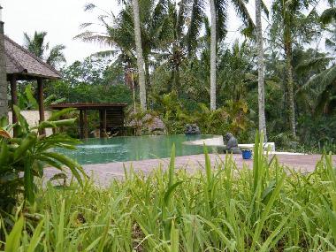 Villa in UBUD (Bali) oder Ferienwohnung oder Ferienhaus