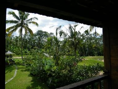 Villa in UBUD (Bali) oder Ferienwohnung oder Ferienhaus