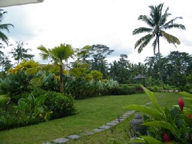 Villa in UBUD (Bali) oder Ferienwohnung oder Ferienhaus