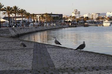 Ferienwohnung in portimao (Algarve) oder Ferienwohnung oder Ferienhaus