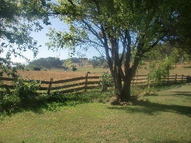 Ferienhaus in Mole Creek (Tasmania) oder Ferienwohnung oder Ferienhaus