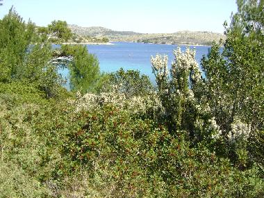 Ferienhaus in Sali (Zadarska) oder Ferienwohnung oder Ferienhaus
