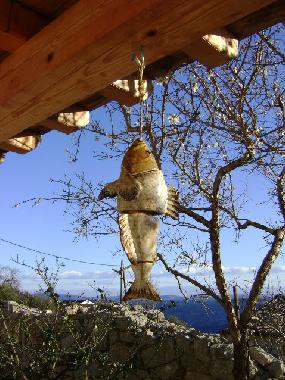 Ferienhaus in Sali (Zadarska) oder Ferienwohnung oder Ferienhaus