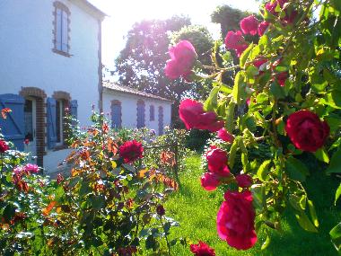 Ferienhaus in Bois de C�n� (Vend�e) oder Ferienwohnung oder Ferienhaus