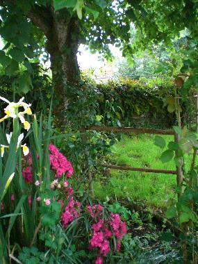 Ferienhaus in Bois de C�n� (Vend�e) oder Ferienwohnung oder Ferienhaus