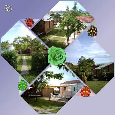 Chalet in 67250 (Bas-Rhin) oder Ferienwohnung oder Ferienhaus