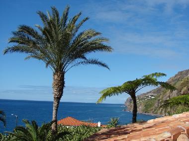Ferienhaus in Calheta (Madeira) oder Ferienwohnung oder Ferienhaus