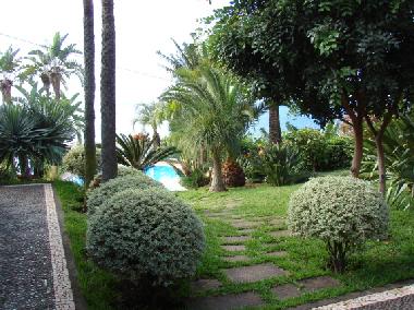 Ferienhaus in Calheta (Madeira) oder Ferienwohnung oder Ferienhaus