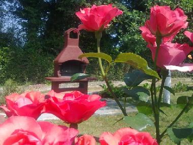 Ferienhaus in Pula, banjole (Istarska) oder Ferienwohnung oder Ferienhaus