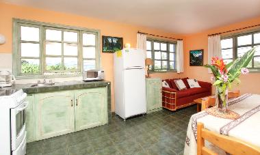 Apartment: K�che mit Salon und Essecke