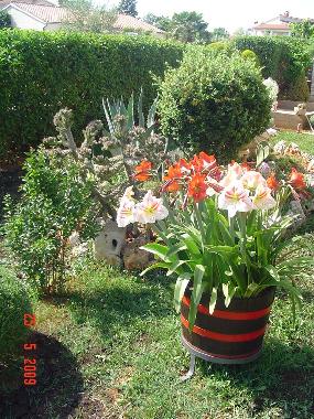 Ferienwohnung in Poreč (Istarska) oder Ferienwohnung oder Ferienhaus