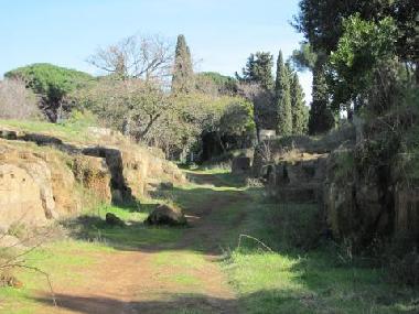 Ferienwohnung in Ladisploli (Roma) oder Ferienwohnung oder Ferienhaus