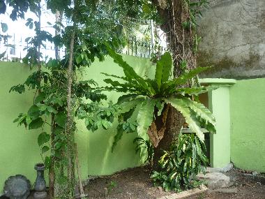 Ferienhaus in Dehiwala (Colombo) oder Ferienwohnung oder Ferienhaus