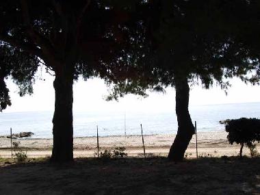 Pension in Nikiti (Chalkidiki) oder Ferienwohnung oder Ferienhaus