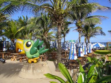 Strandbar Loro vor der Villa cactus