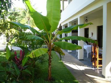 Im Garten der Villa Cactus