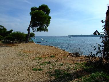 Ferienhaus in St. Cezaire-sur-Siagne (Alpes-Maritimes) oder Ferienwohnung oder Ferienhaus
