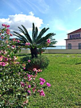 Pension in Funchal (Madeira) oder Ferienwohnung oder Ferienhaus