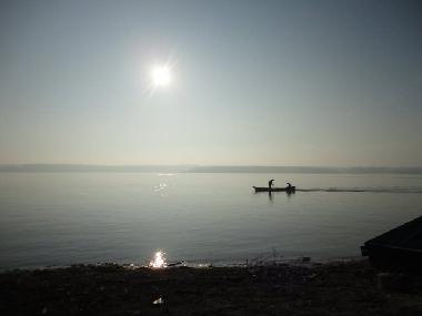 Morgenstimmung an der Donau
