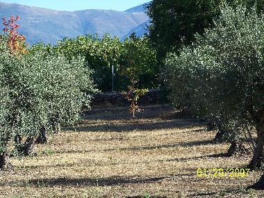 Ferienhaus in Jaraiz de la Vera (Cceres) oder Ferienwohnung oder Ferienhaus